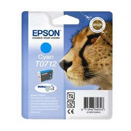 EPSON D78/DX4000/CIANO